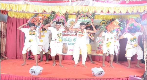 Cultural Festival